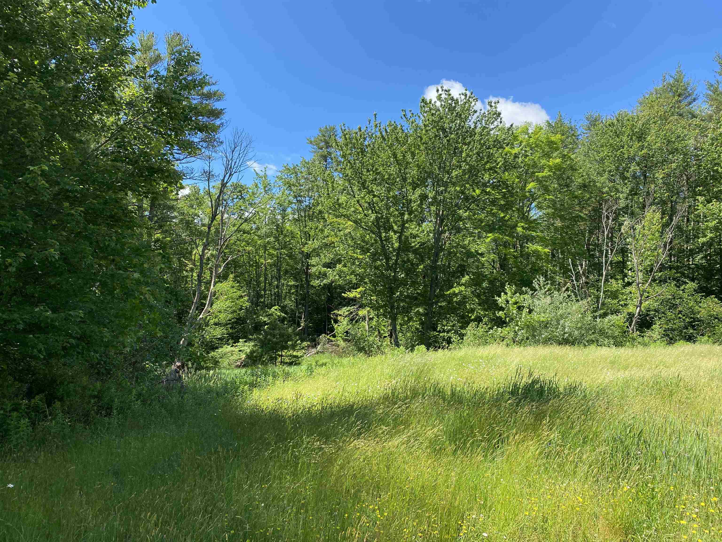 18 Catamount Road