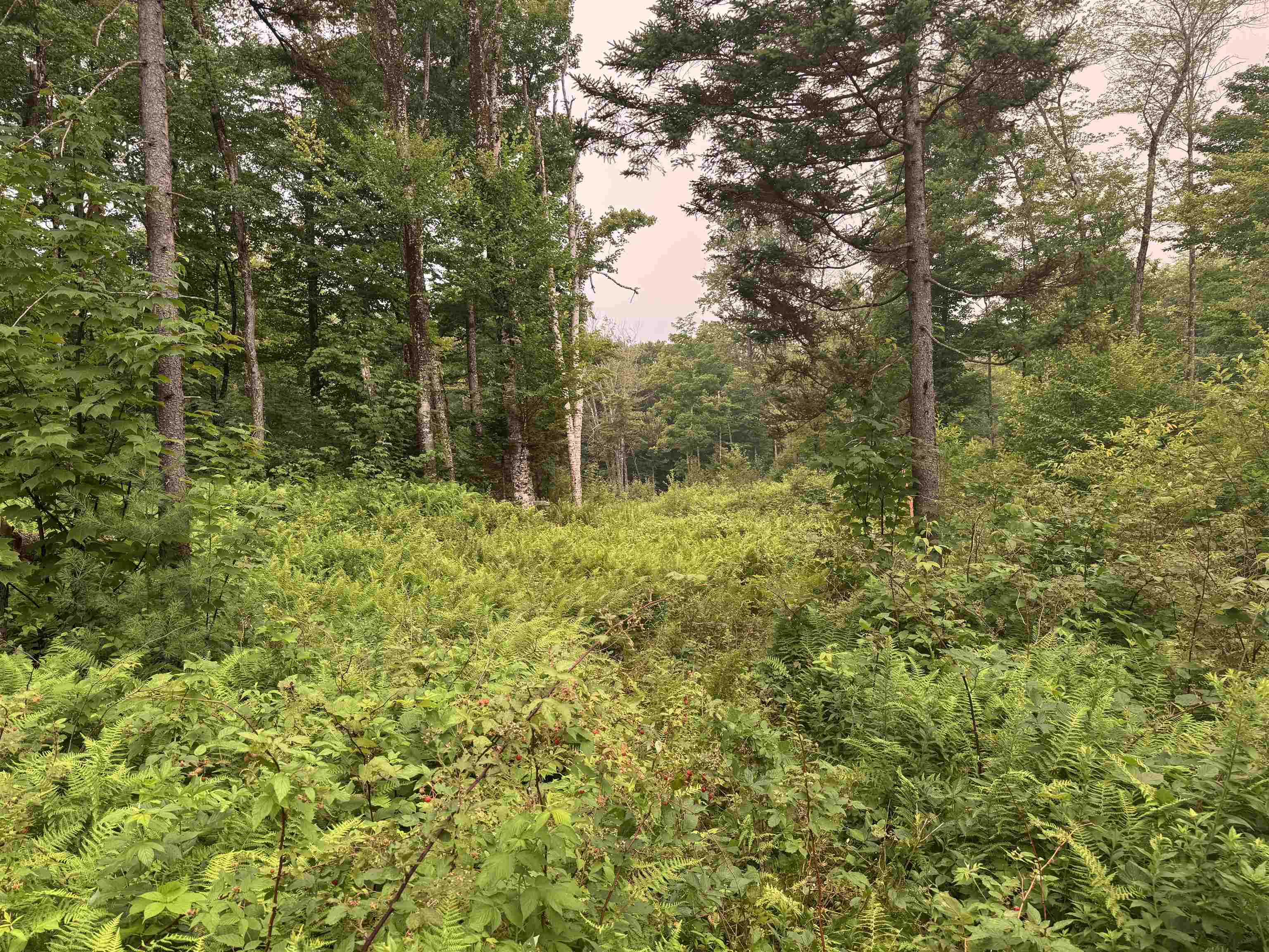 Photo 1 of 33 — 185 Valley View Road, Dover, VT 05356
