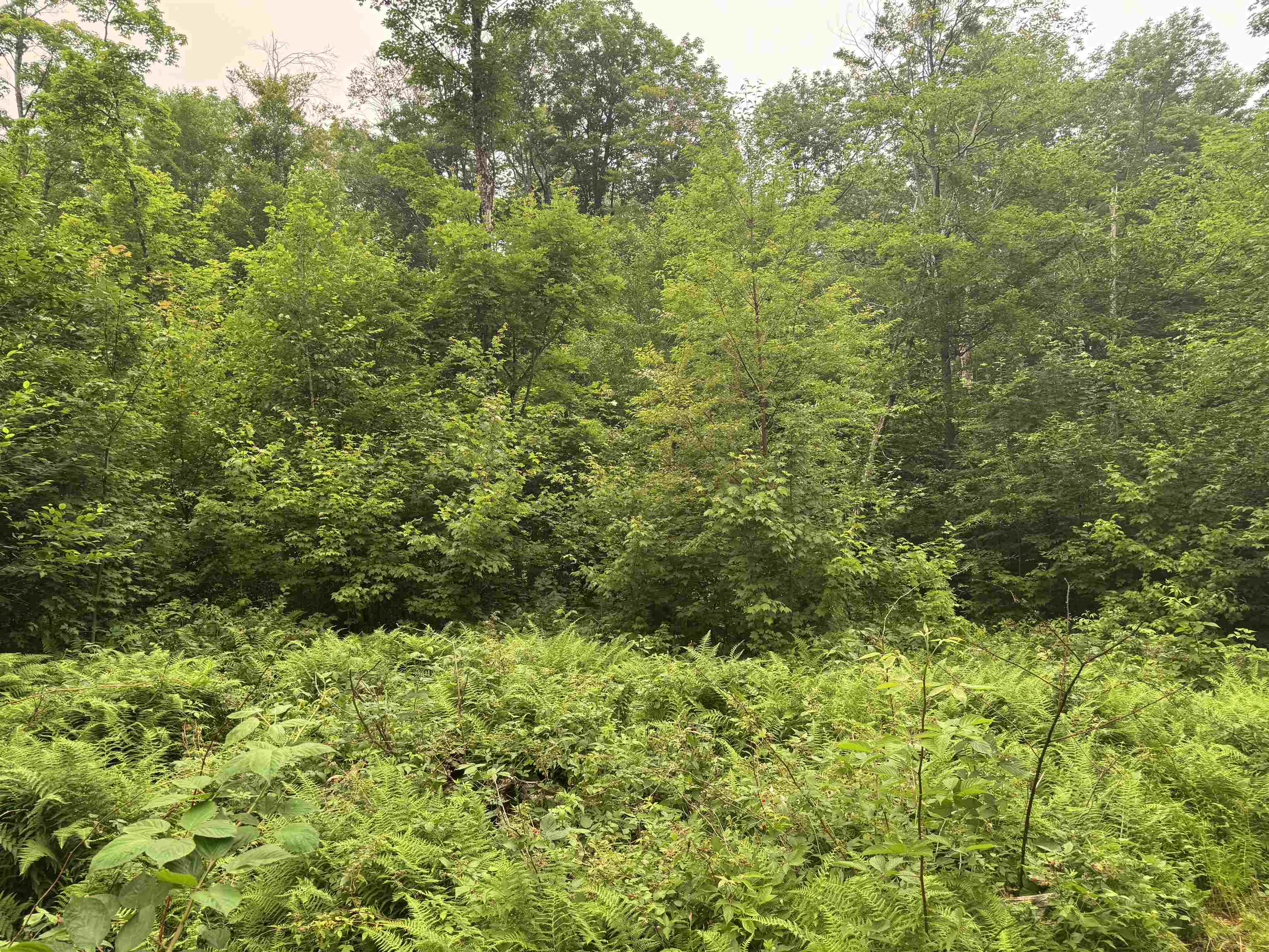 185 Valley View Road