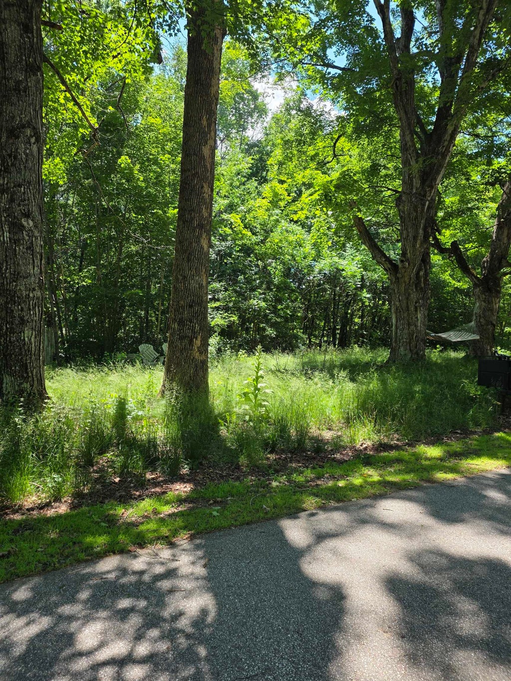 Photo of King Road, Campton, NH 03223 (MLS # 5096412)