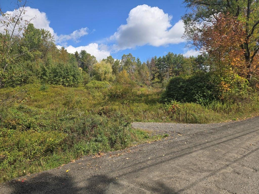 Photo of 342 East Green Mountain Road, Claremont, NH 03743 (MLS # 5032749)