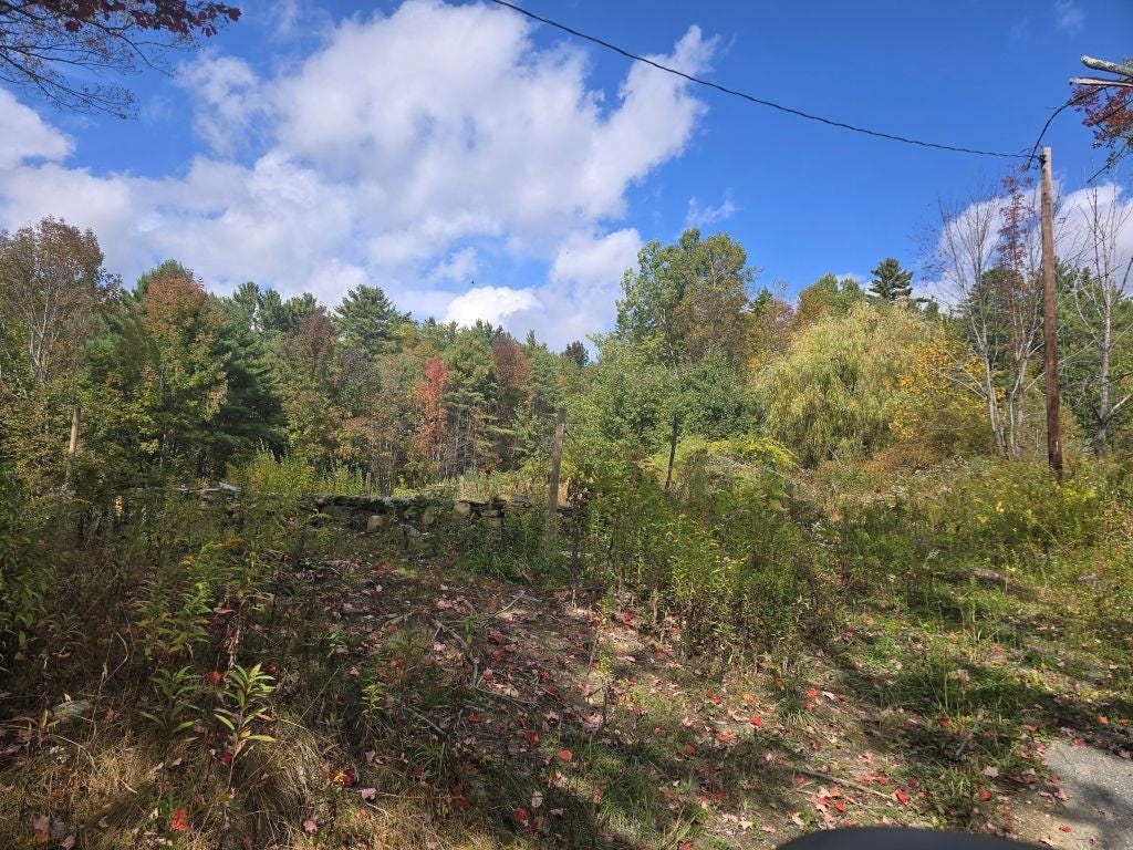 Photo of 342 East Green Mountain Road, Claremont, NH 03743 (MLS # 5032749)