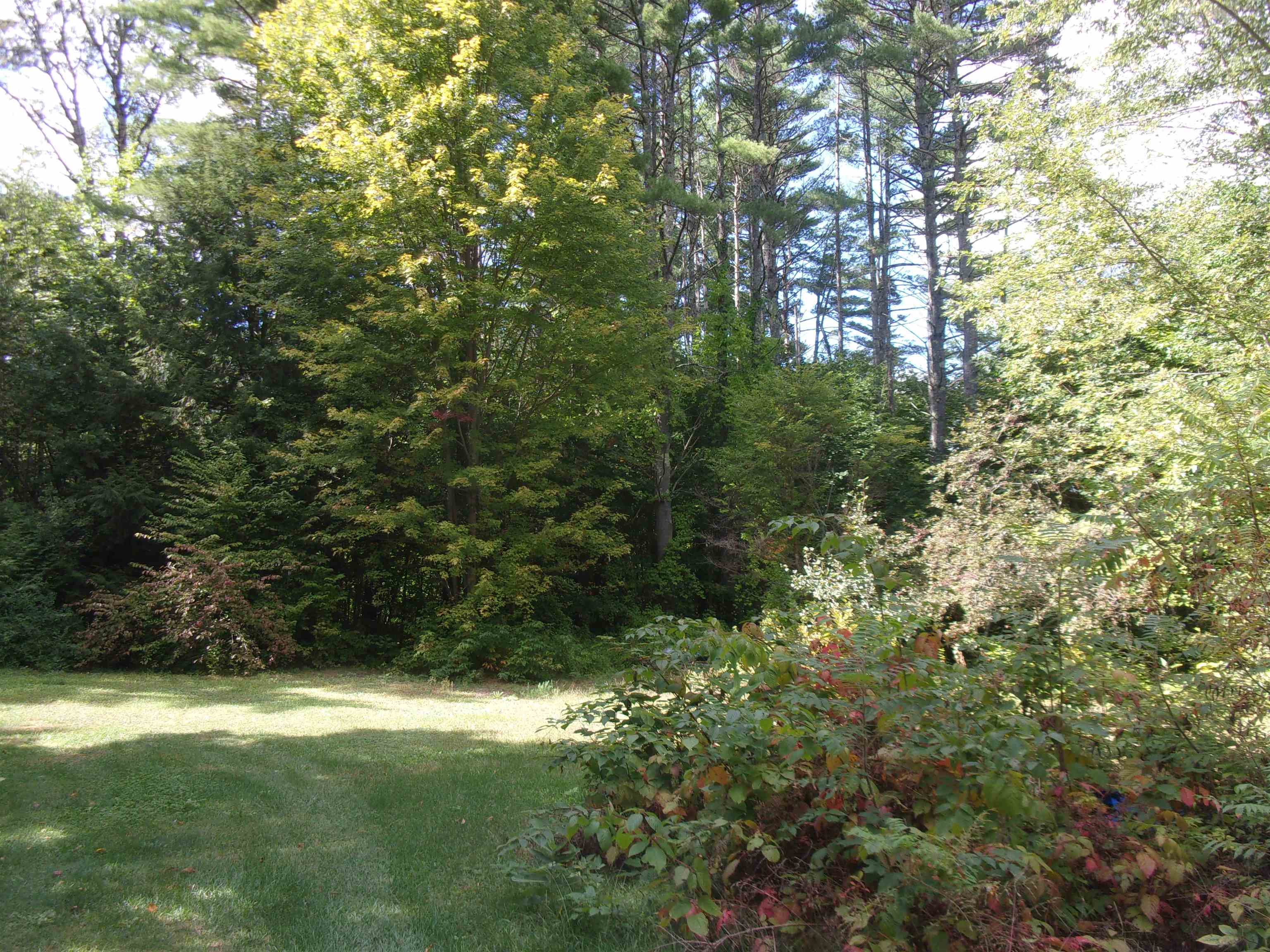 45 Partridge Knoll Road