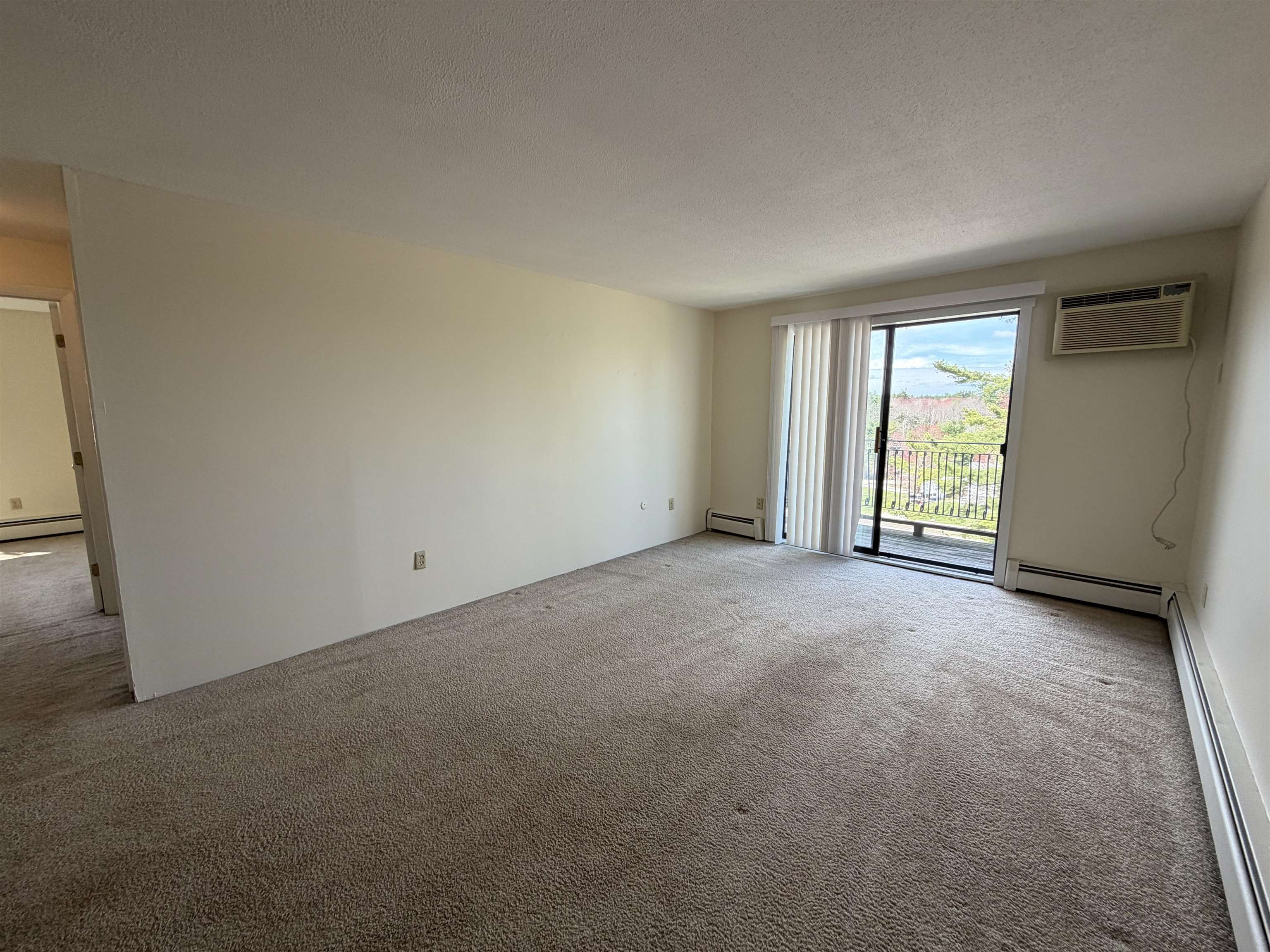 134 Mammoth Road 29