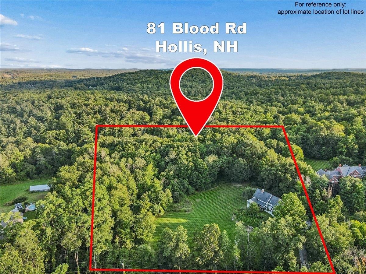 81 Blood Road