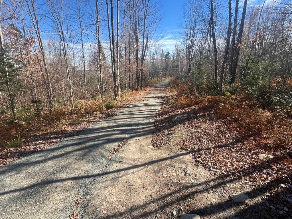 Photo of 3 steiss Road, Milan, NH 03570 (MLS # 5102770)
