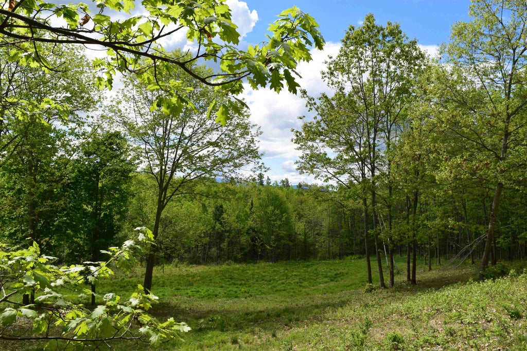 Photo of 151 Moulton Hill Road, Lyman, NH 03585 (MLS # 5091978)