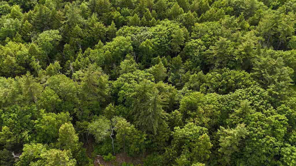 Photo of 00 Forrest Drive, Marlborough, NH 03455 (MLS # 5094682)