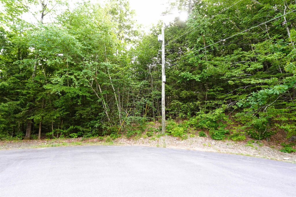 Photo of 00 Forrest Drive, Marlborough, NH 03455 (MLS # 5094682)