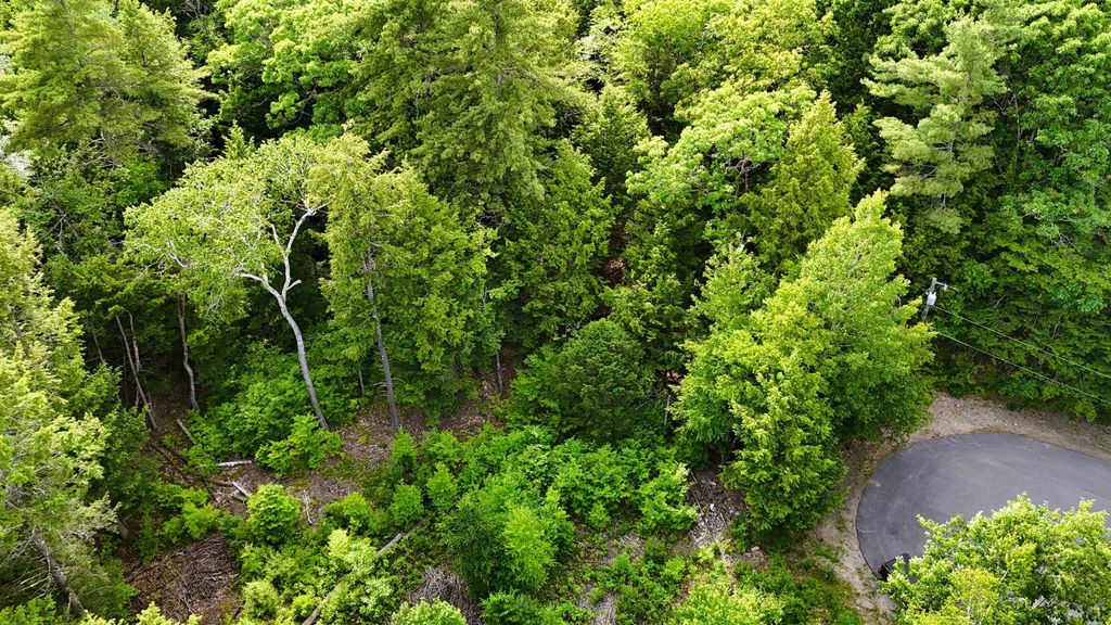 Photo of 00 Forrest Drive, Marlborough, NH 03455 (MLS # 5094682)