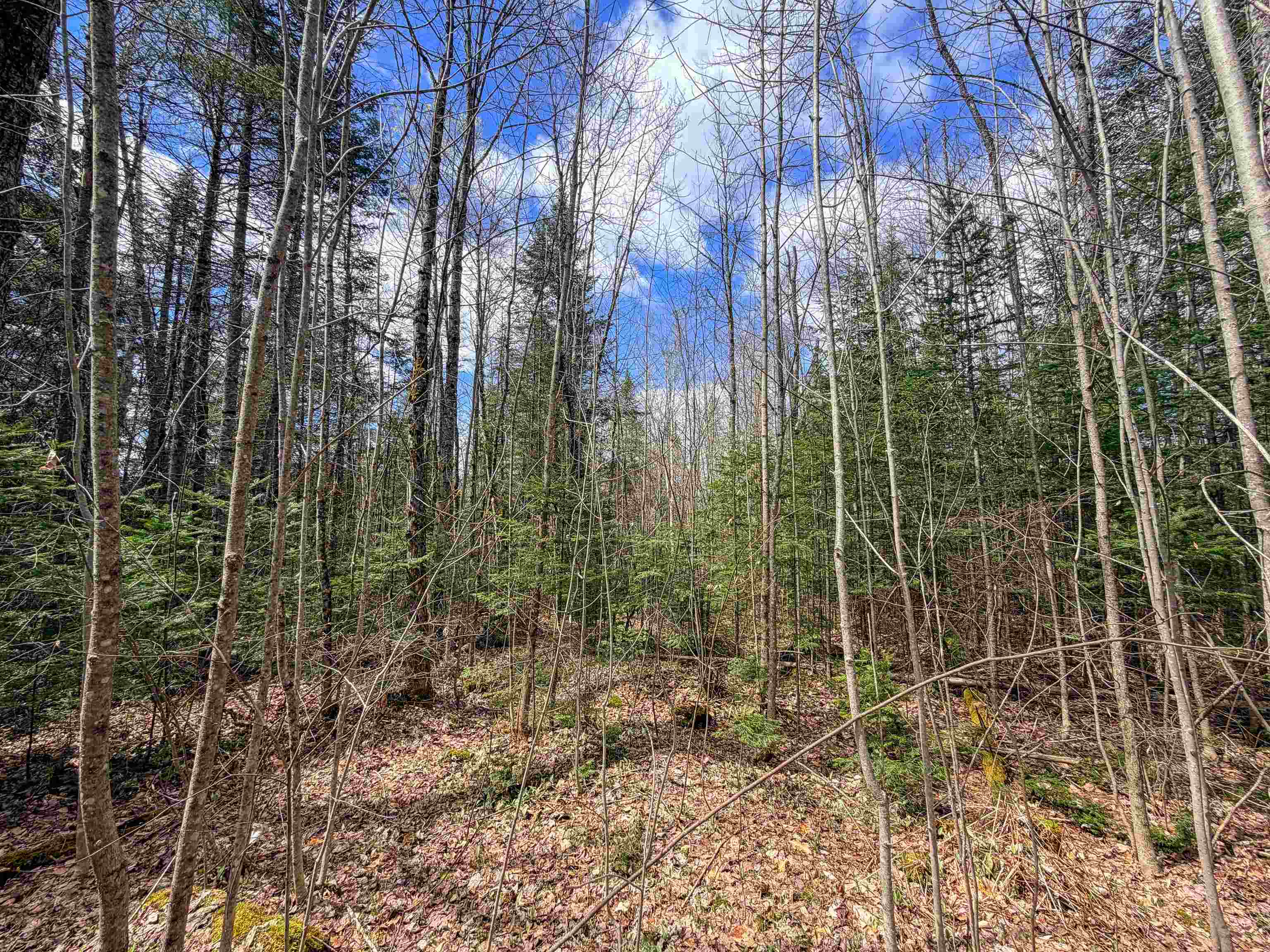 Lot 4 Oregon Road
