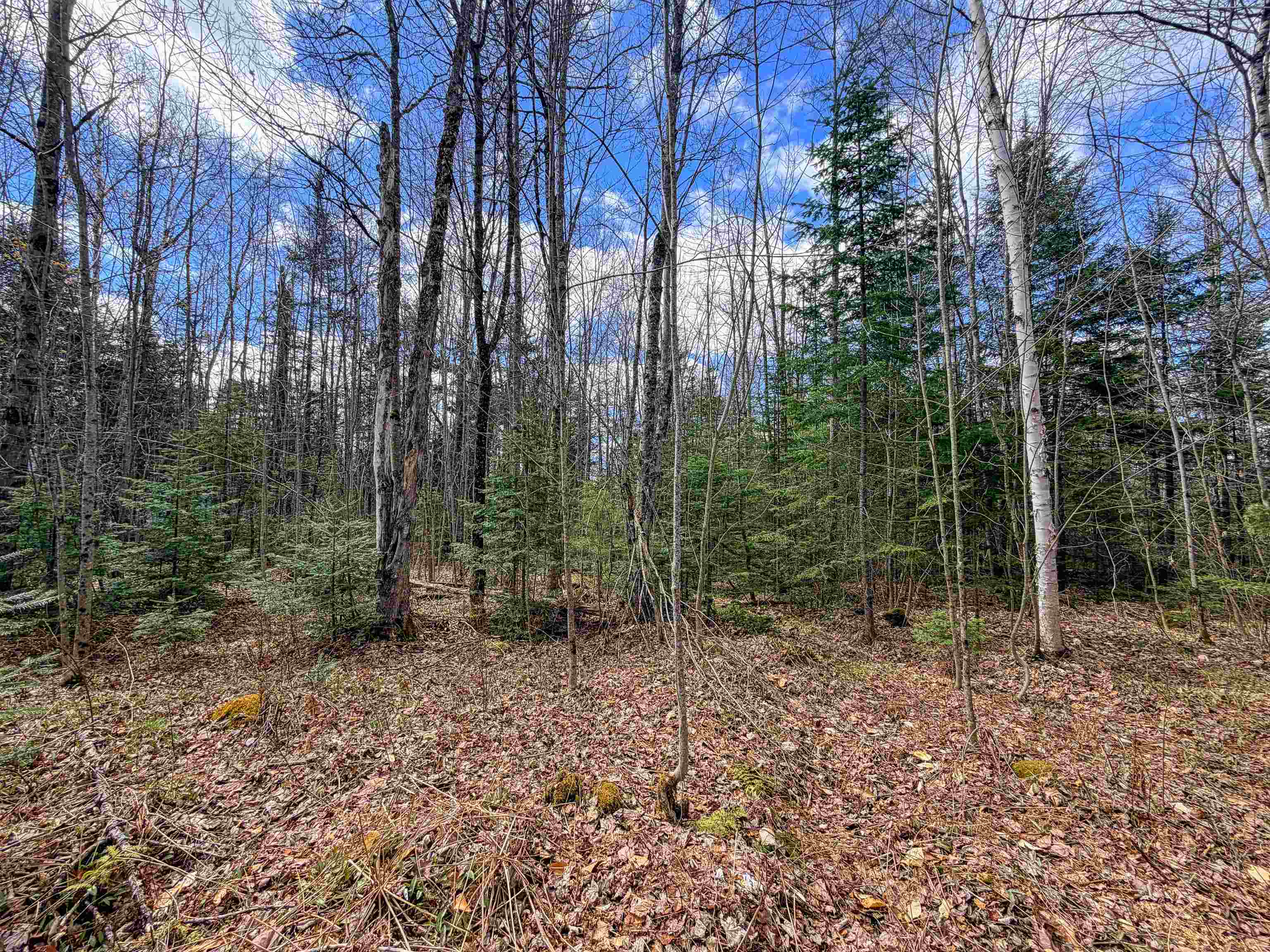 Lot 4 Oregon Road