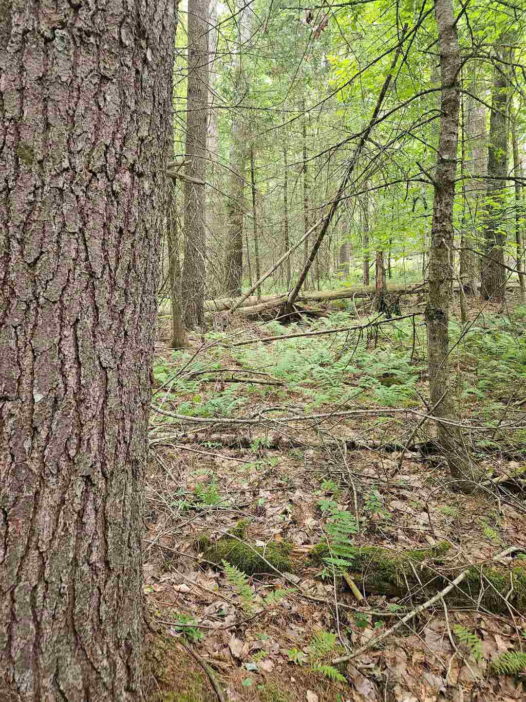Photo of 00 Straford Drive, Haverhill, NH 03785 (MLS # 5105263)