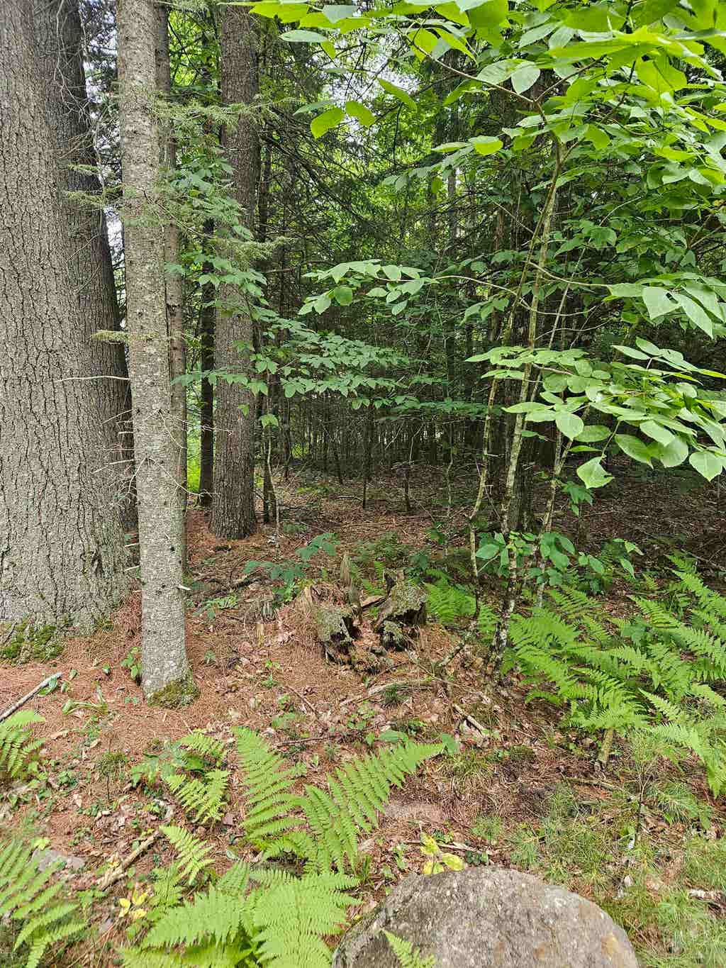 Photo of 00 Straford Drive, Haverhill, NH 03785 (MLS # 5105263)