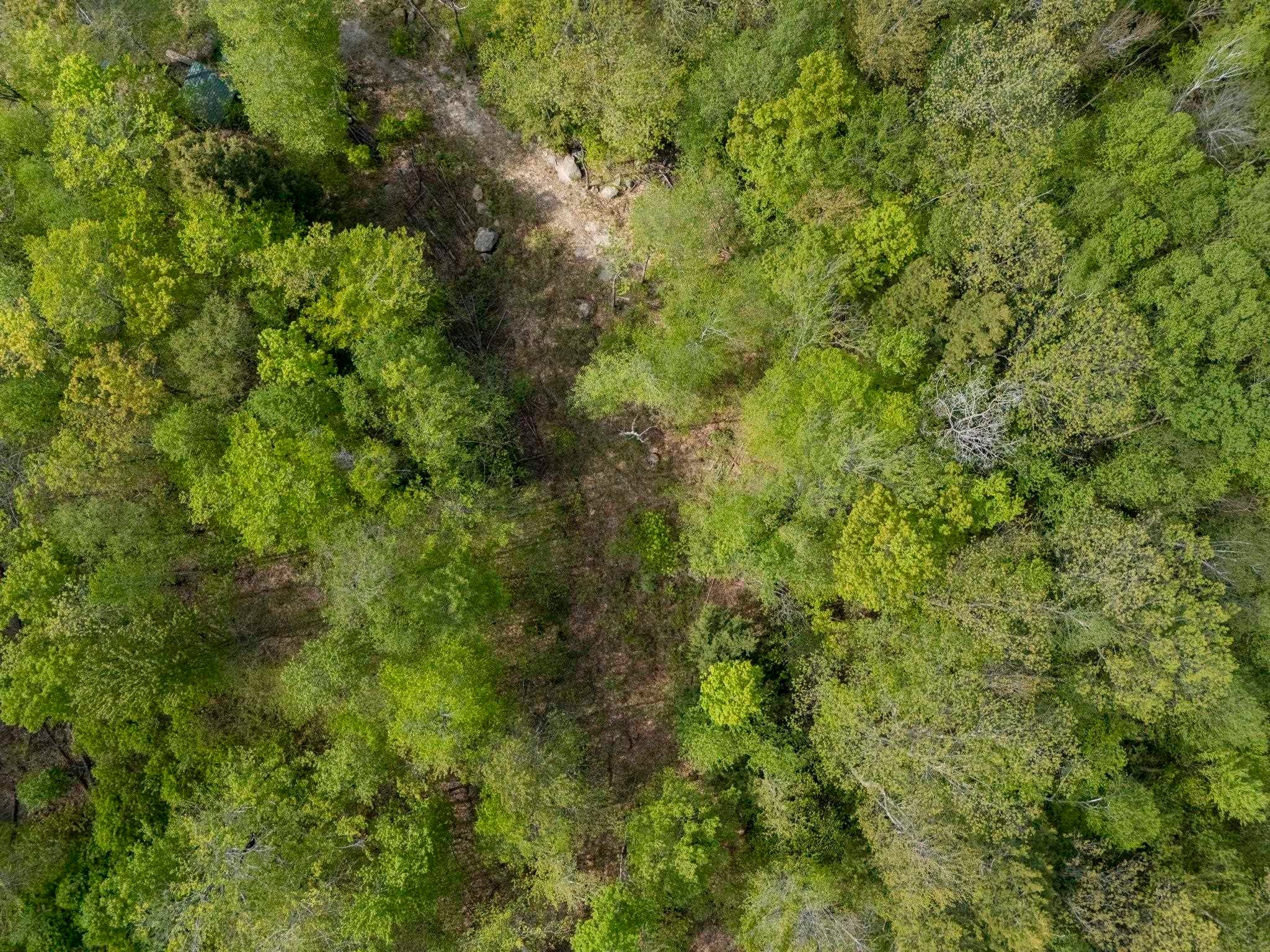 00 Loyd Lane