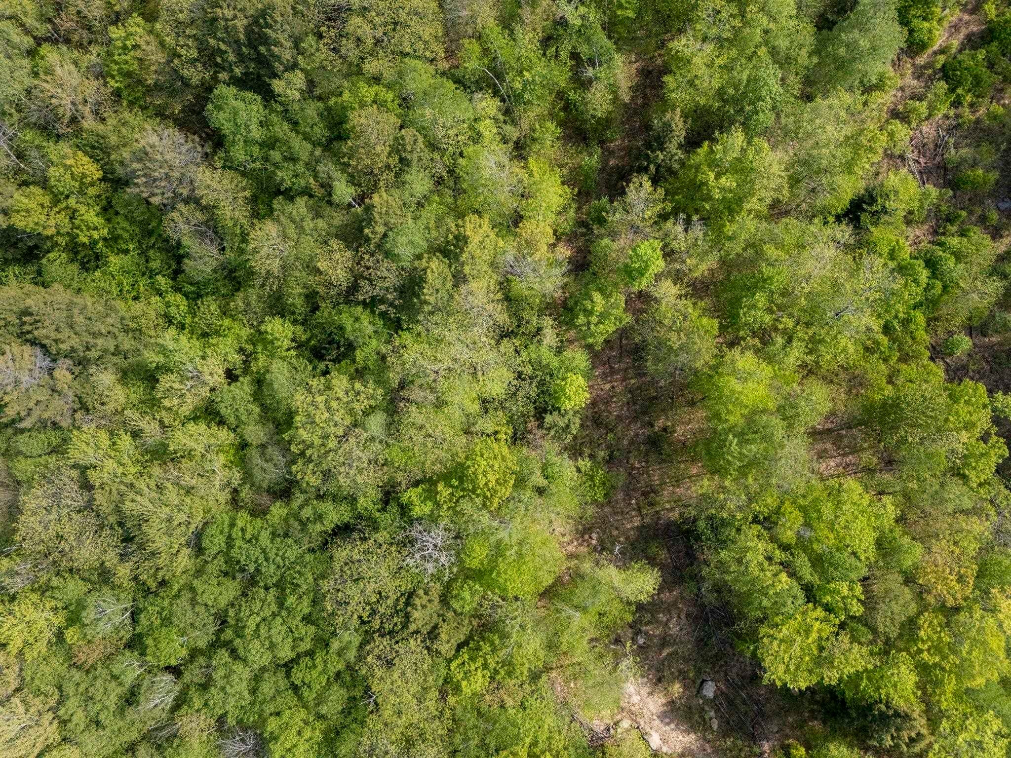 00 Loyd Lane