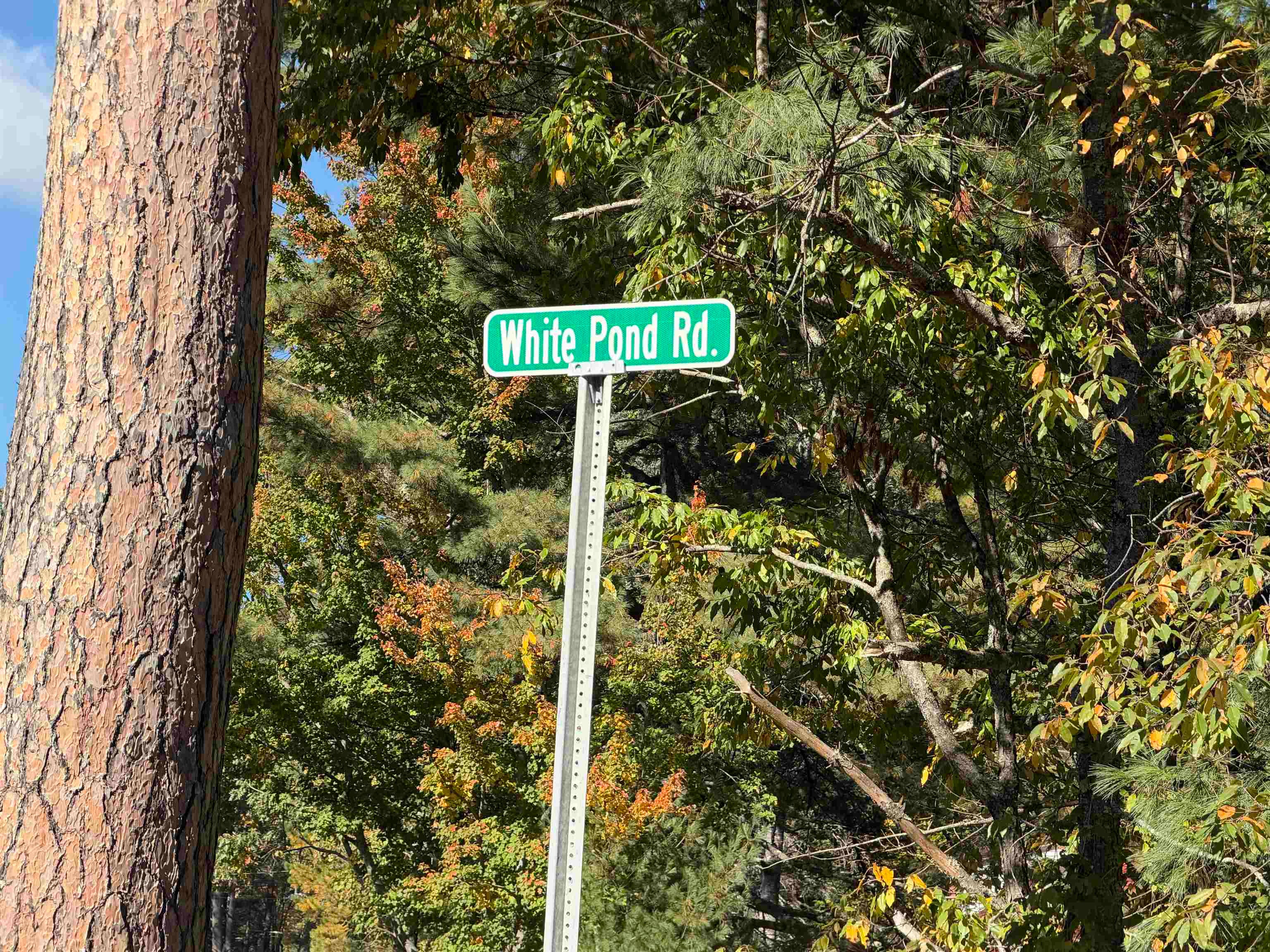 40 White Pond Road
