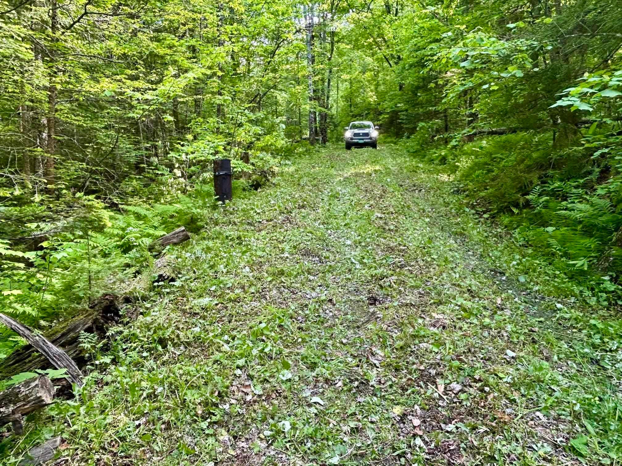 000 Williamstown Road