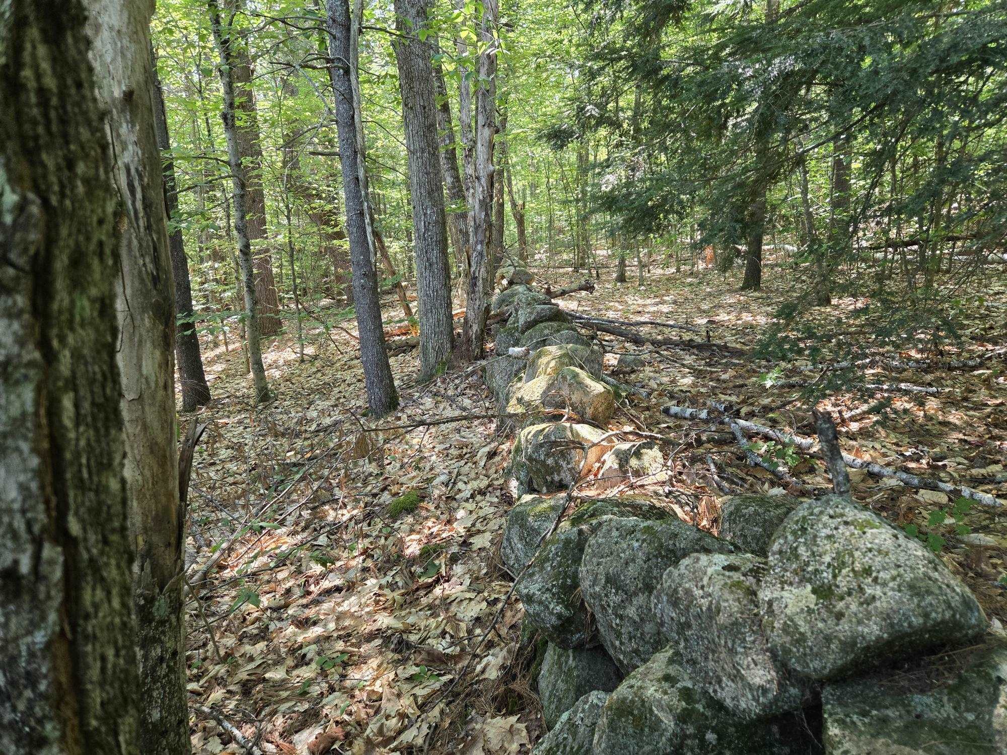 Lot 28 Davis Hill Road 28