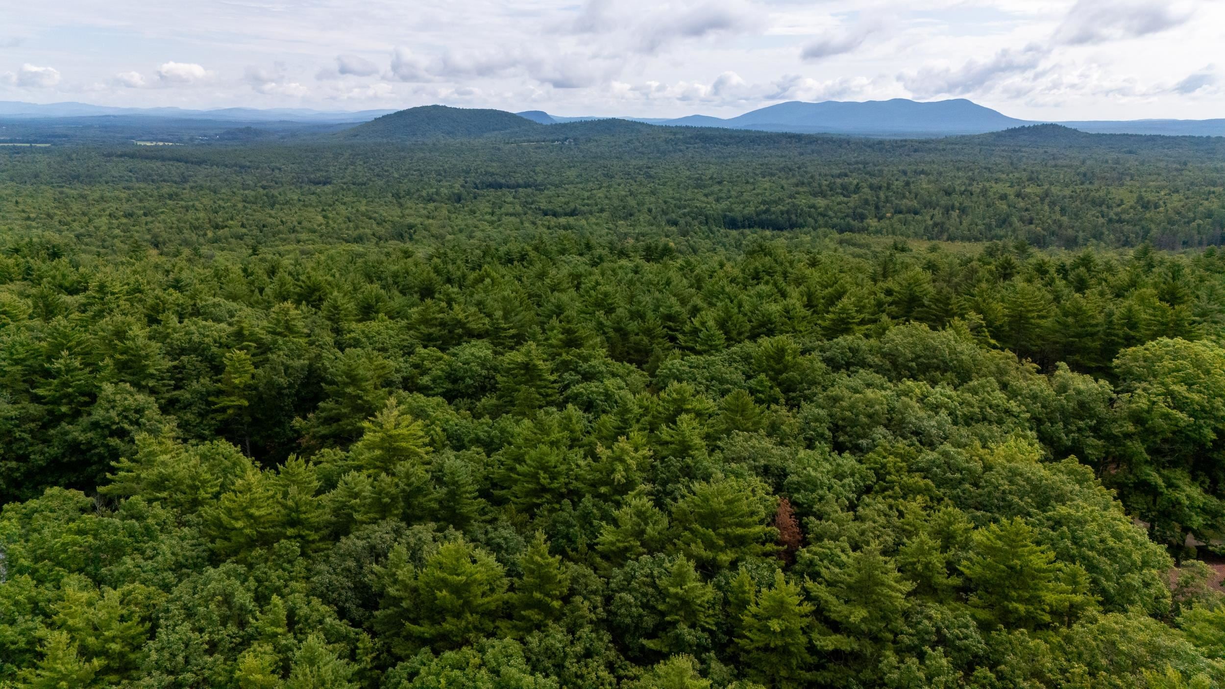 Lot 28 Davis Hill Road 28