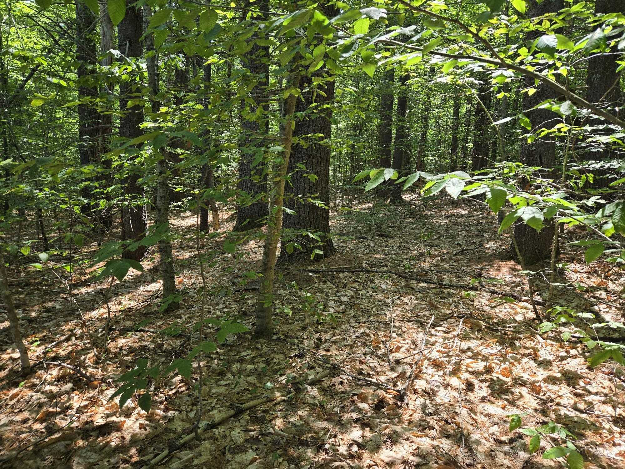 Lot 28 Davis Hill Road 28