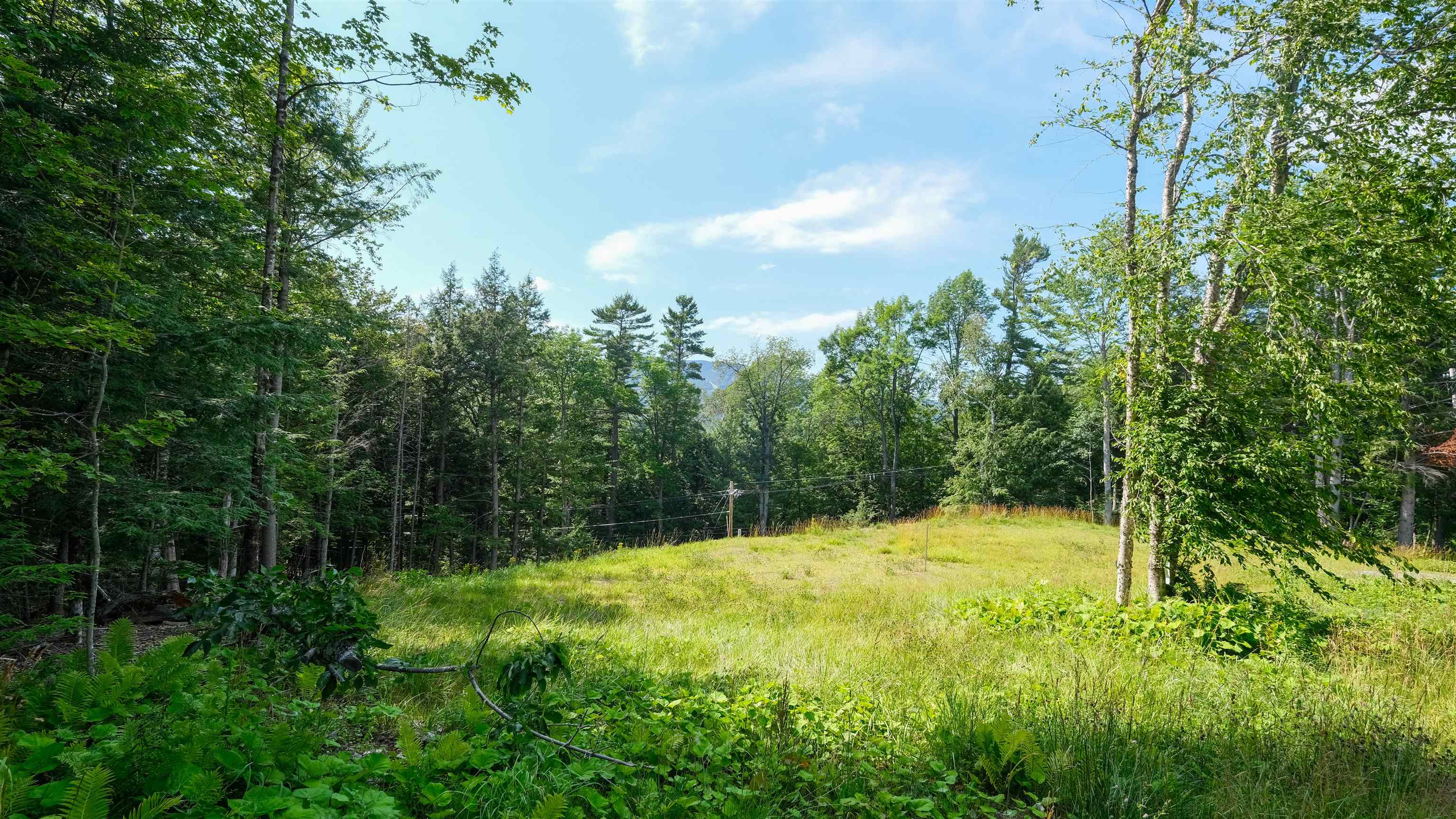 228 Town Farm Road