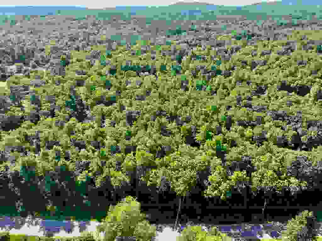 Photo of 0 Concord Stage Road #109, Weare, NH 03281 (MLS # 5103457)