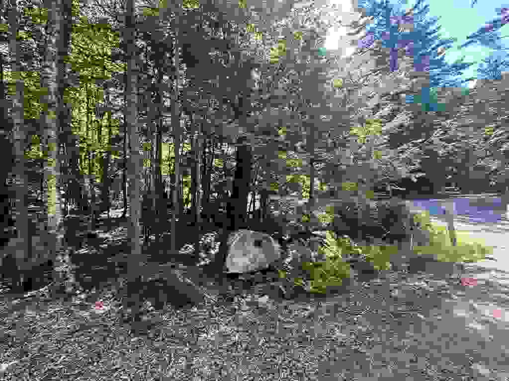 Photo of 619 103A Route, New London, NH 03257 (MLS # 5103544)
