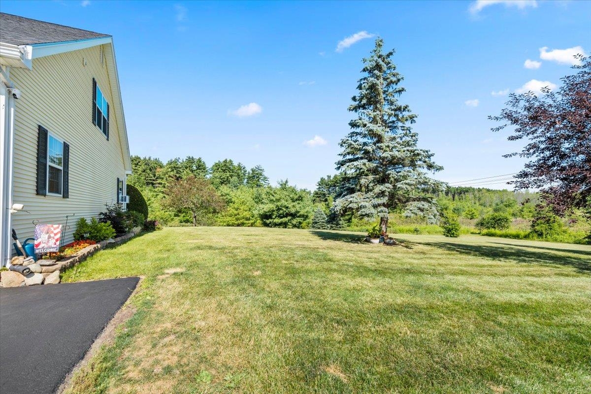 156 Catkin Drive