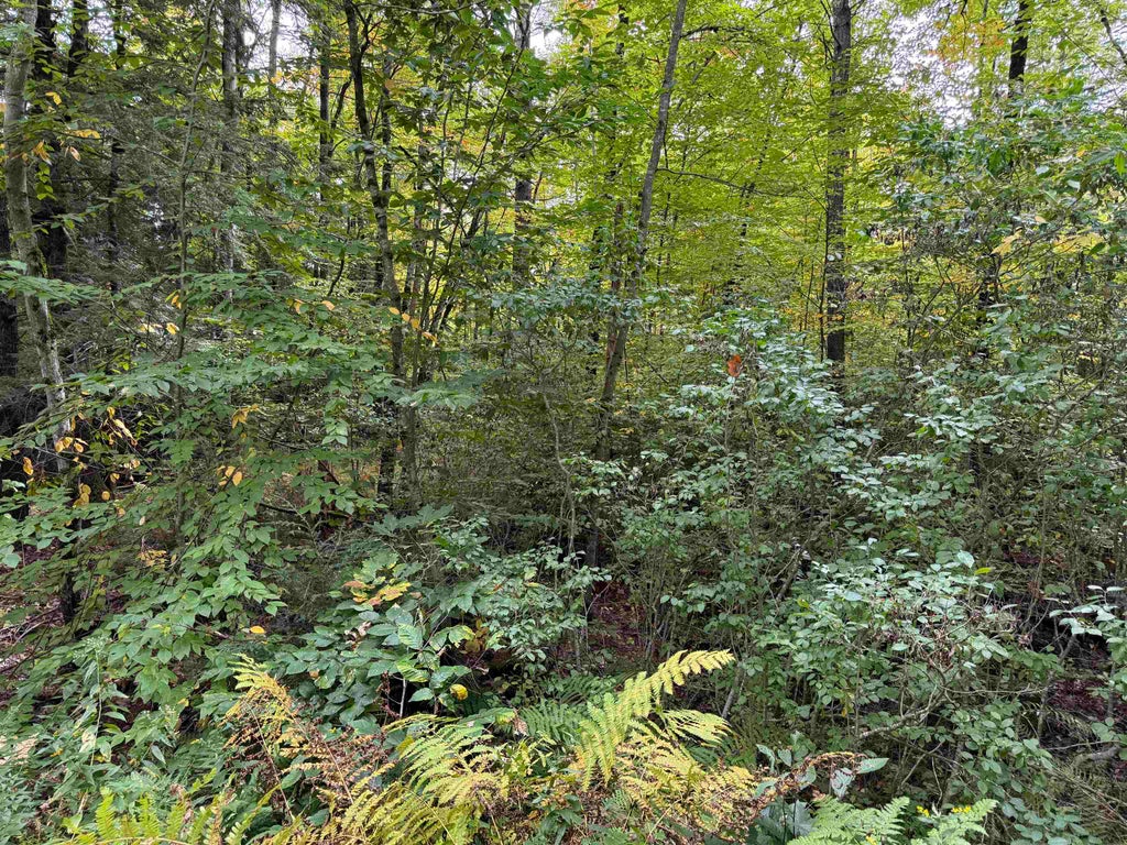 Photo of 1675 Ravenhead Lane, Hillsborough, NH 03244 (MLS # 5113593)