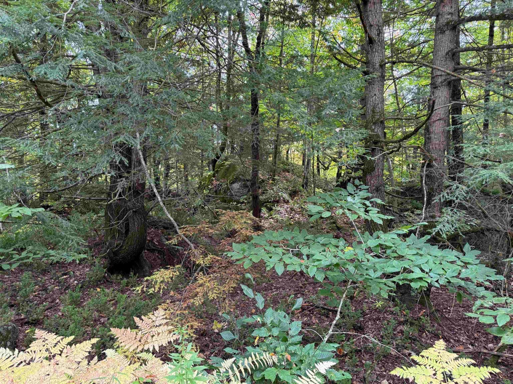 Photo of 1675 Ravenhead Lane, Hillsborough, NH 03244 (MLS # 5113593)