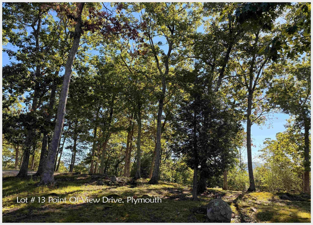 Photo of 13 Point of View Drive, Plymouth, NH 03264 (MLS # 5107925)