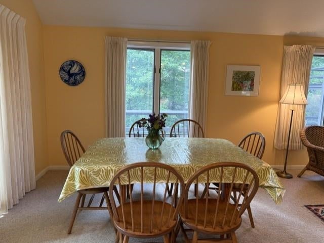 Photo of 624 Otter Road, Grantham, NH 03753 (MLS # 5109581)