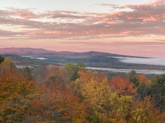 Photo of 288 Kearsarge Mountain Road, Wilmot, NH 03287 (MLS # 5100176)