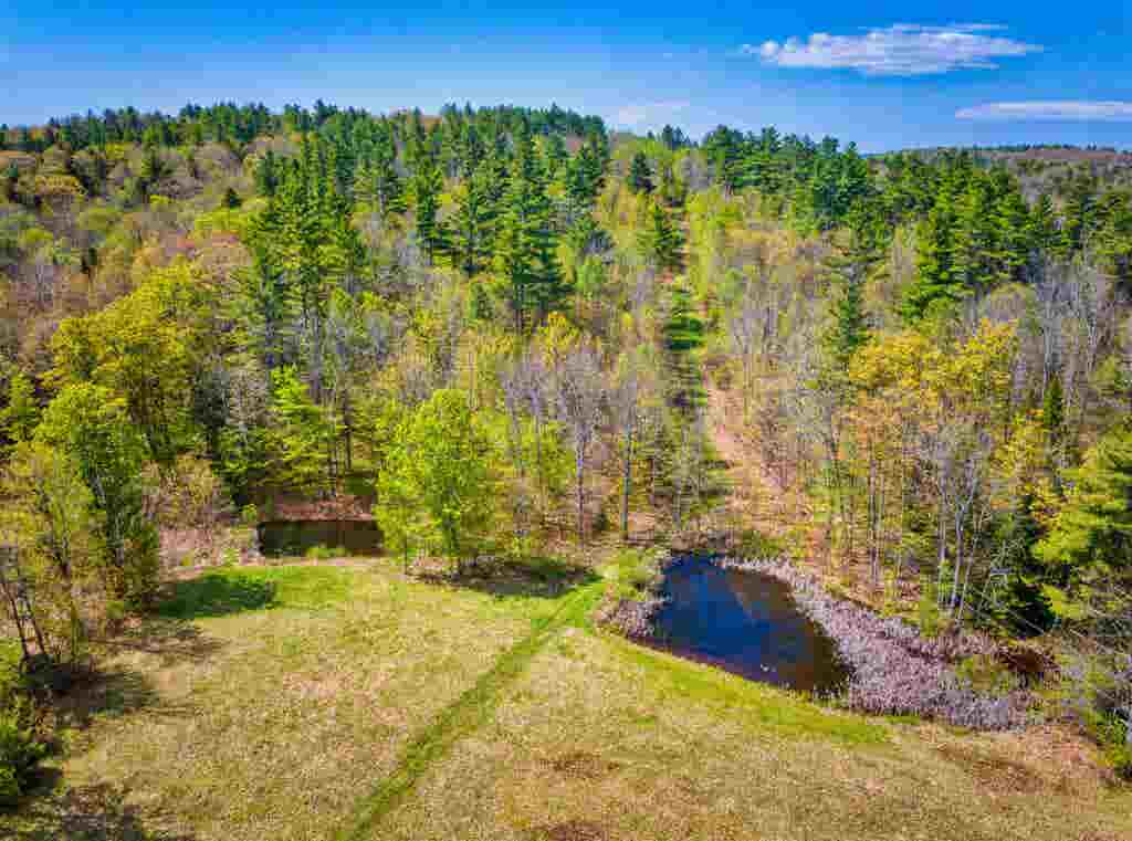 Photo of 172 Hurd Road, Lempster, NH 03605 (MLS # 5093320)