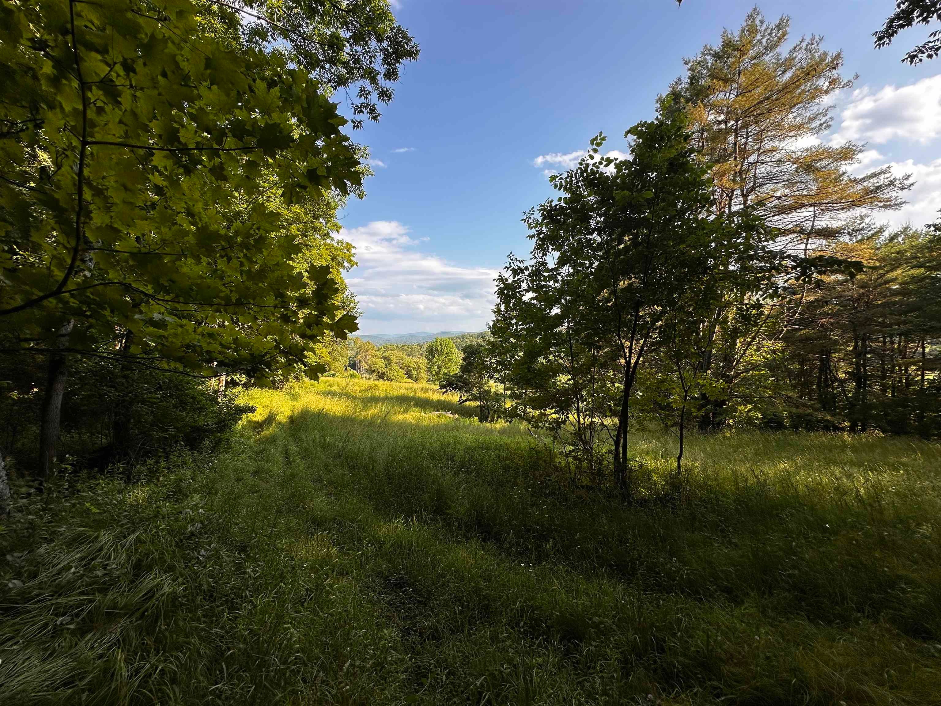 000 Monroe Road 29