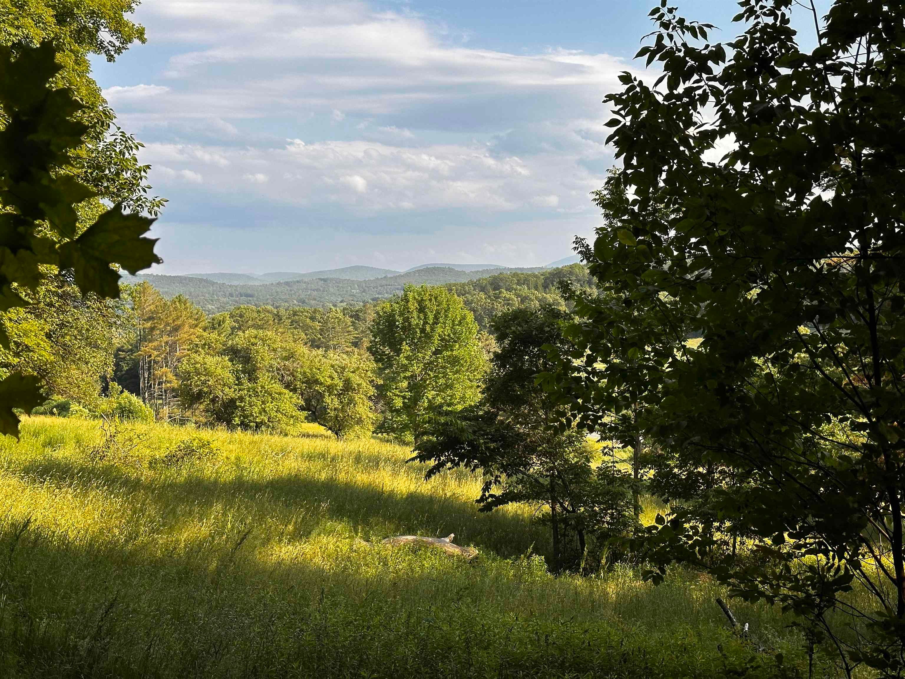 000 Monroe Road 29