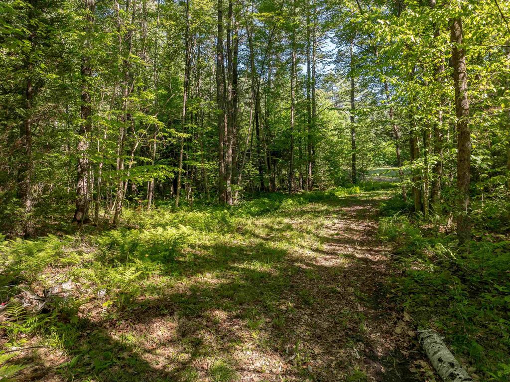 Photo of 22 Rabbit Path Road, Landaff, NH 03585 (MLS # 5094101)