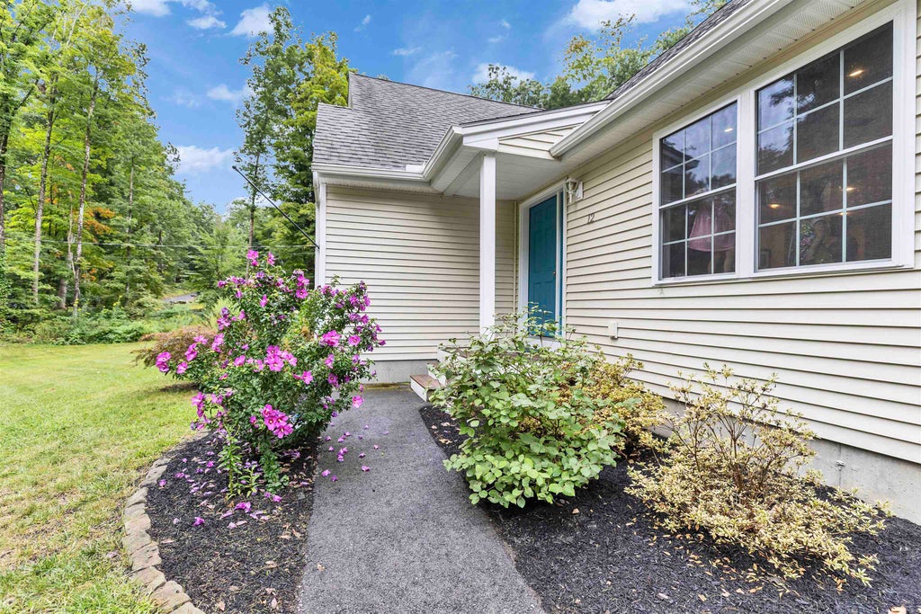 Photo of 12 Springvale Avenue, Brookline, NH 03033 (MLS # 5109020)