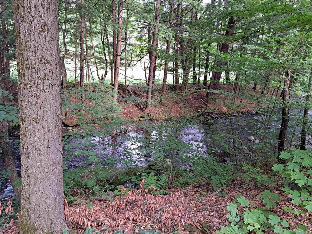 Photo of 23 CHASE HILL Road, Cornish, NH 03745 (MLS # 5097028)