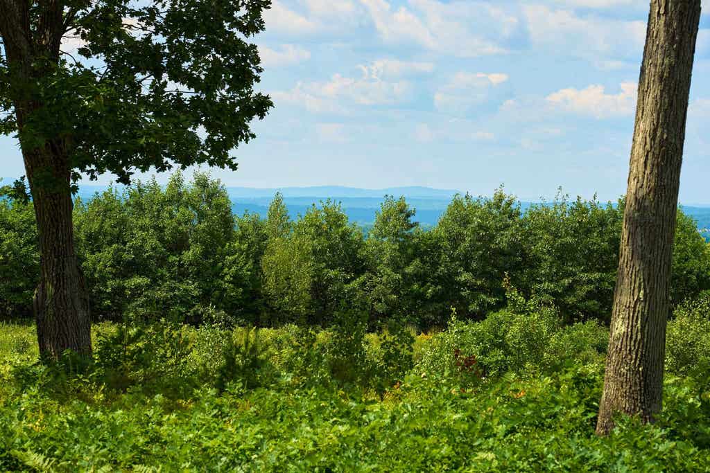 Photo of 664 Borough Rd Road, Pembroke, NH 03275 (MLS # 5104748)
