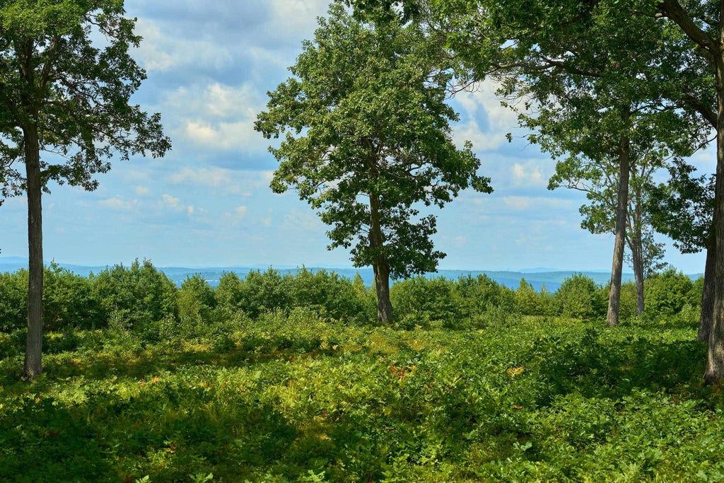 Photo of 664 Borough Rd Road, Pembroke, NH 03275 (MLS # 5104748)