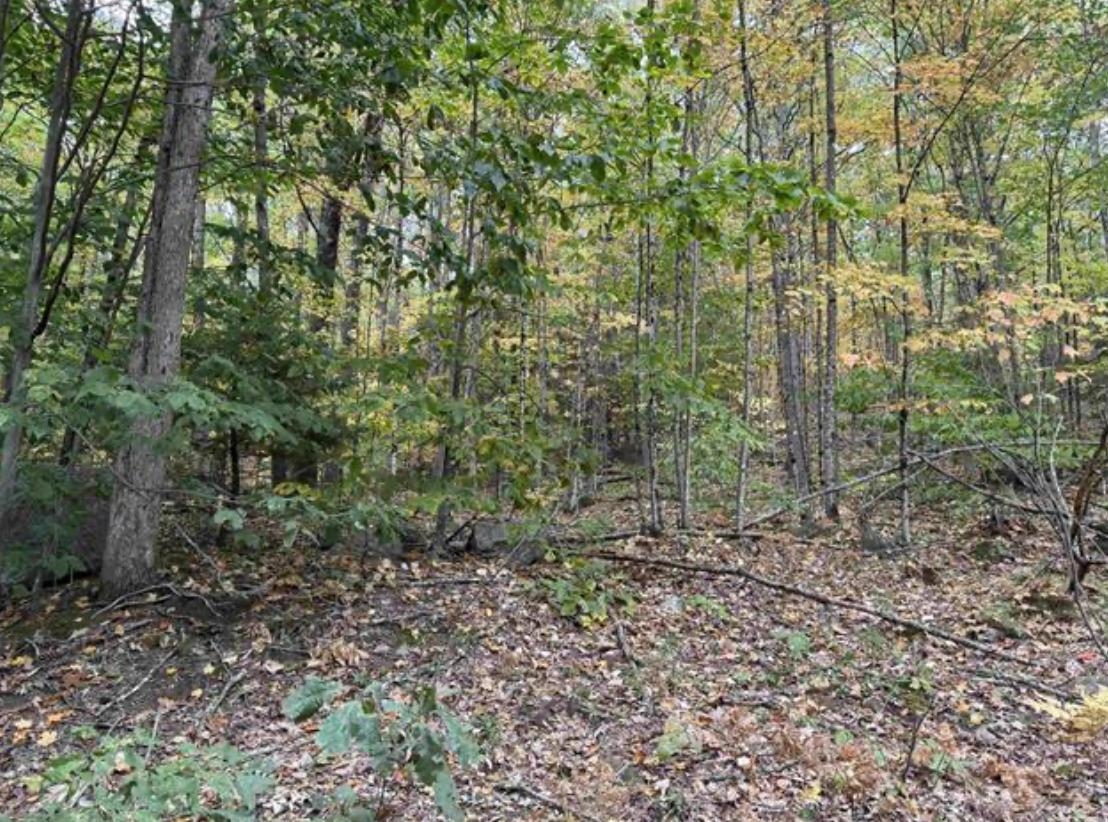 Map 10 Lots 154,155,156 New Hampshire Drive