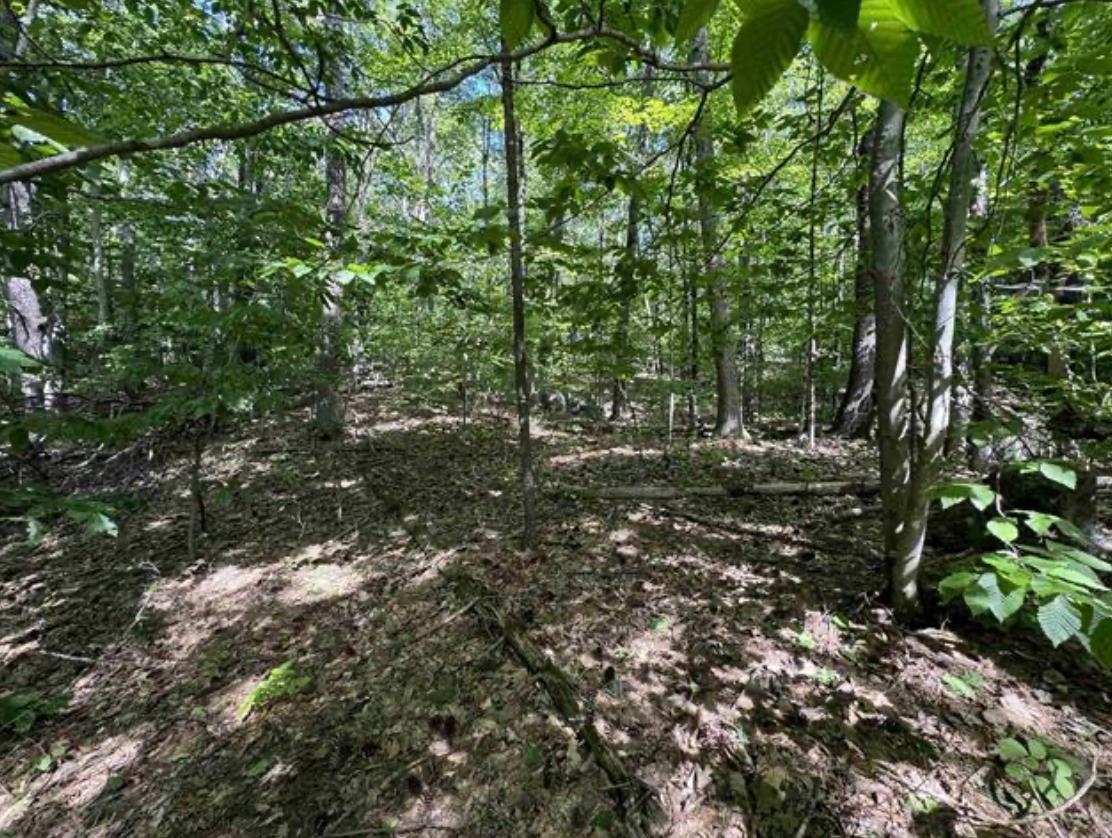Map 10 Lots 154,155,156 New Hampshire Drive