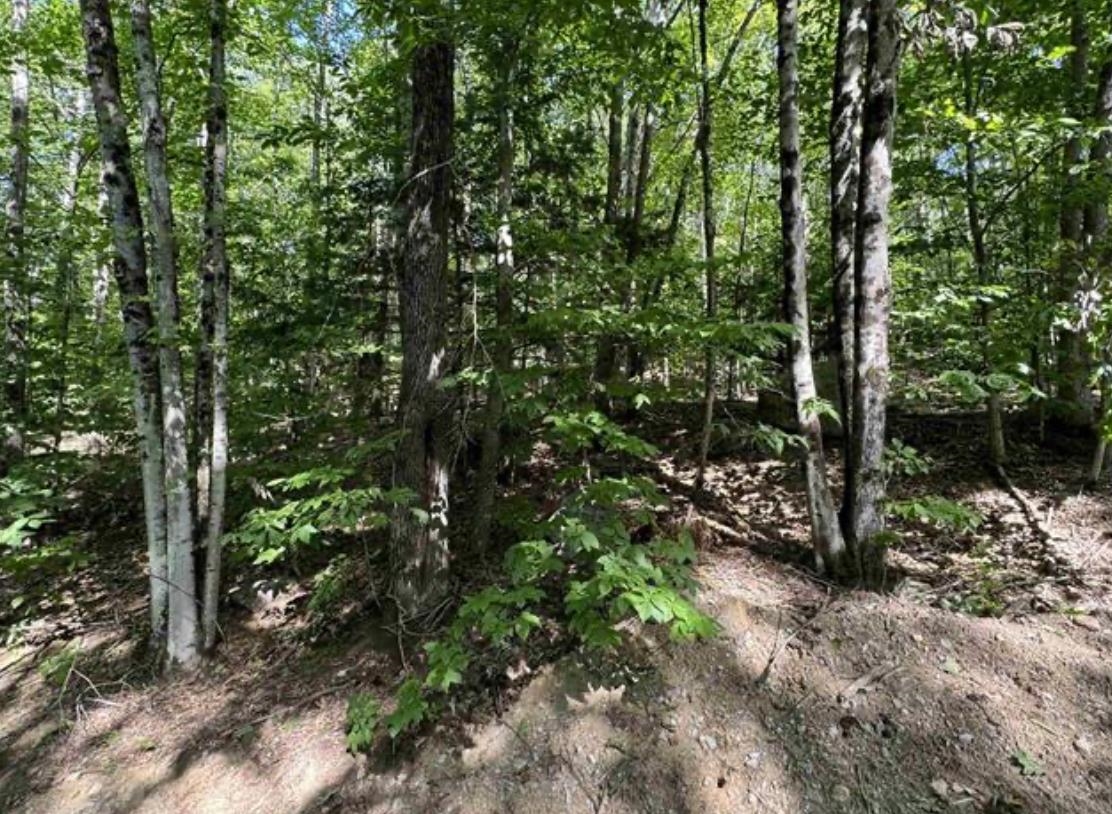 Map 10 Lots 154,155,156 New Hampshire Drive