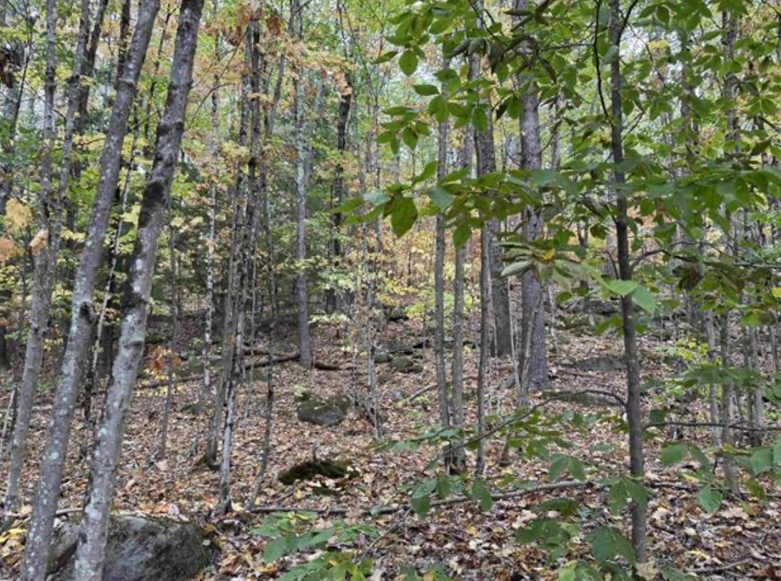 Map 10 Lots 154,155,156 New Hampshire Drive