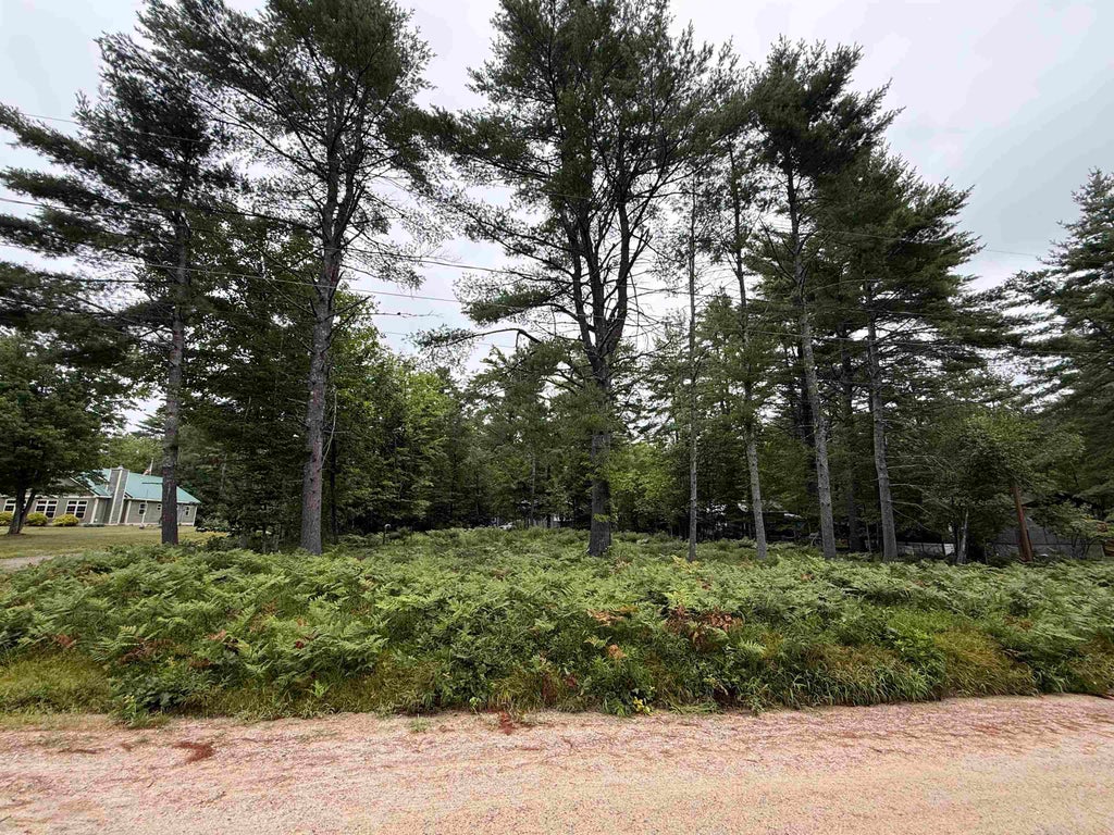 Photo of 00 Birchwood Farm Road #24, Freedom, NH 03836 (MLS # 5105739)