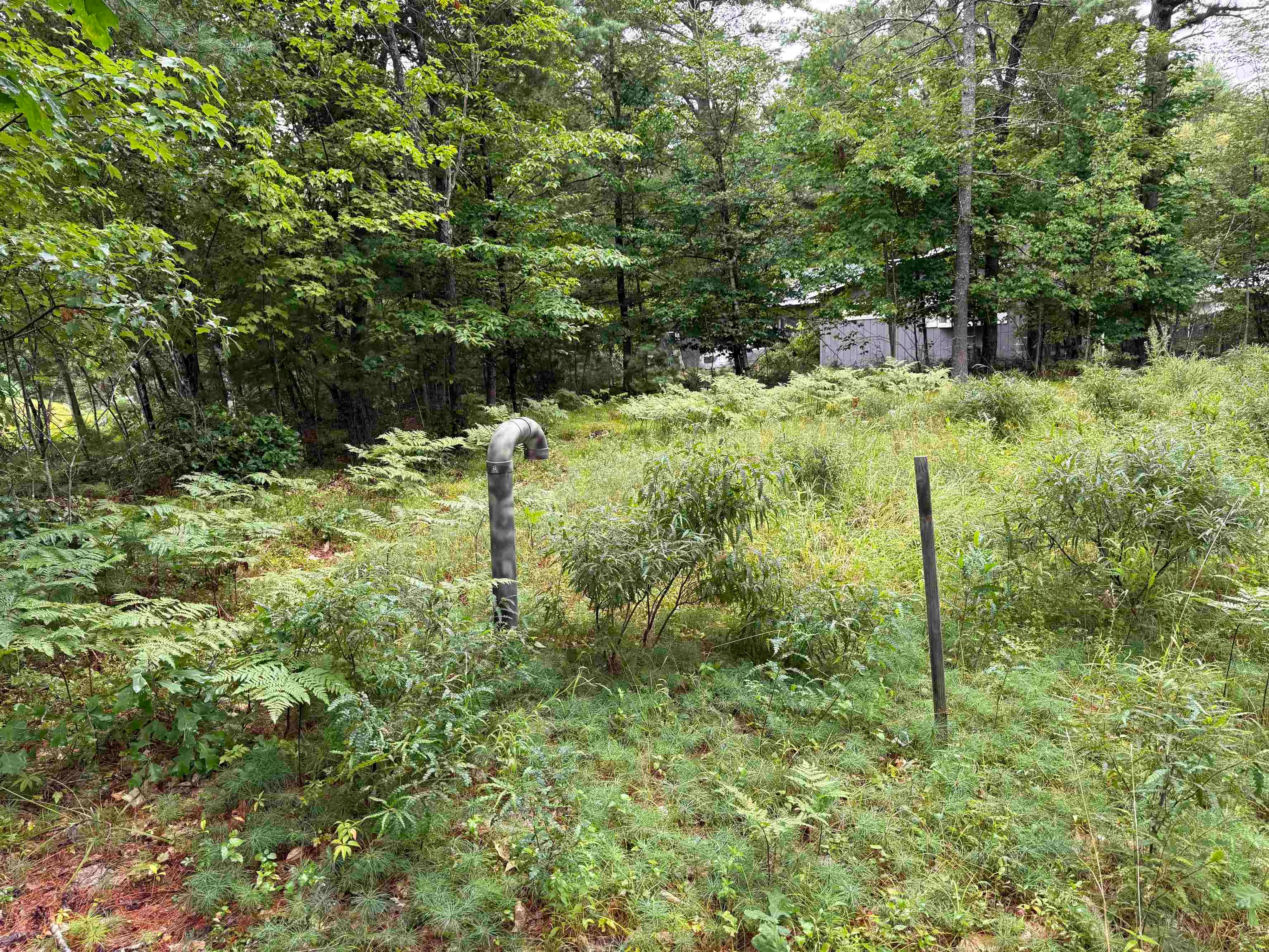 00 Birchwood Farm Road 24