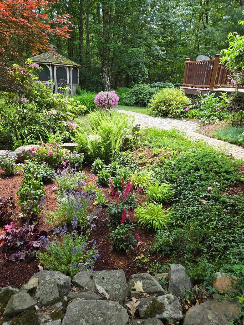 Photo of 155 Chase Road, South Hampton, NH 03827 (MLS # 5082752)