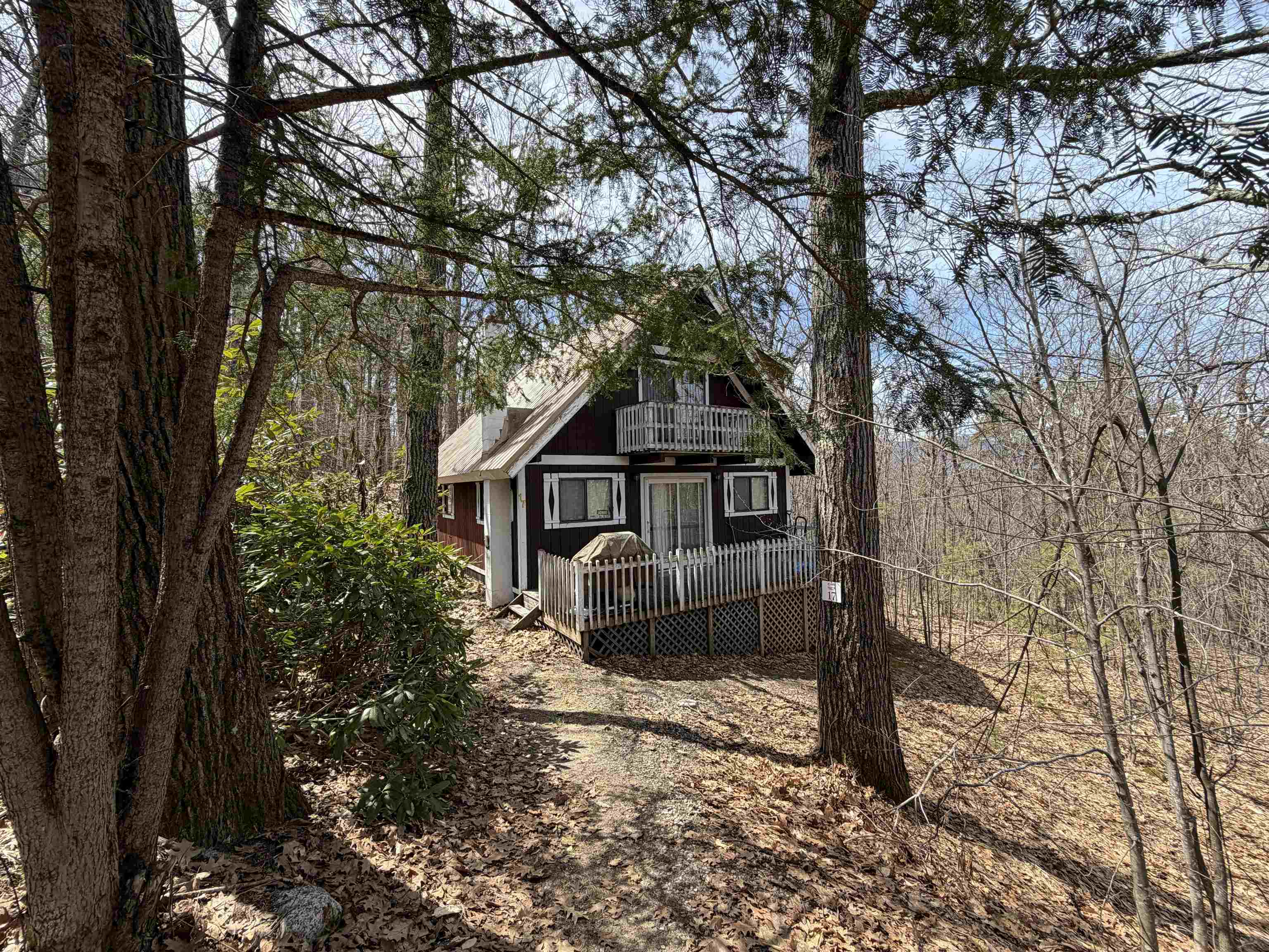 17 Klausen Road